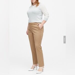 Banana Republic Ryan Slim Straight Flannel Ankle Pants 14